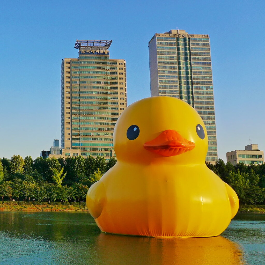 Photo of a gigantic rubber duck