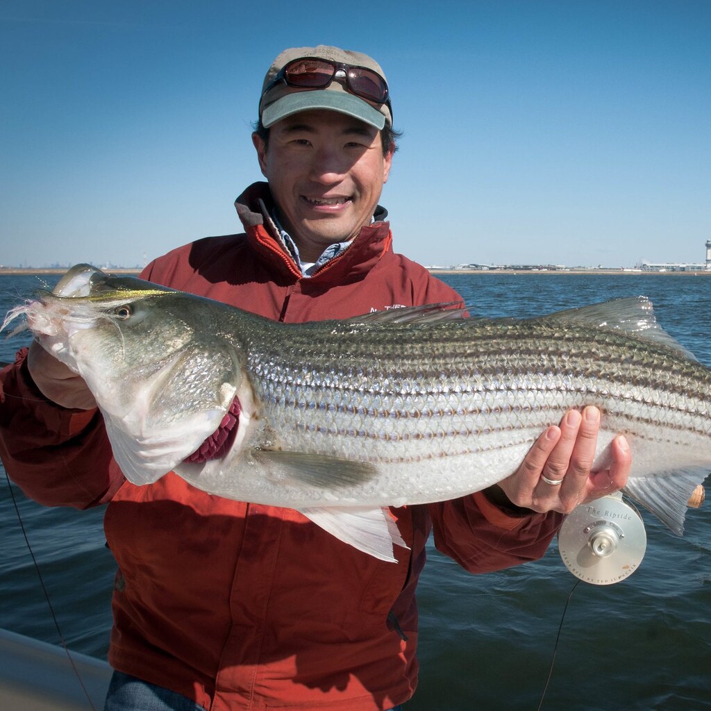 Photo of a fish with gills