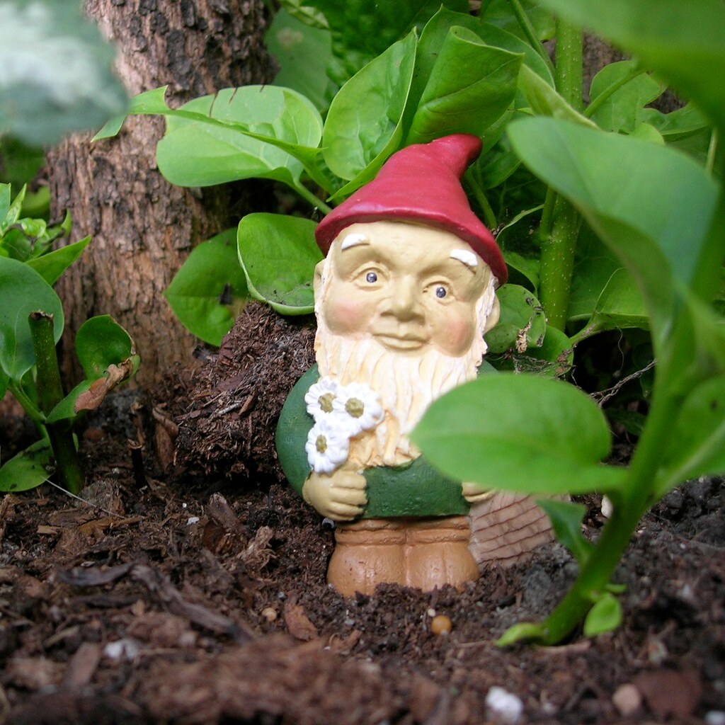 Photo of a garden gnome.