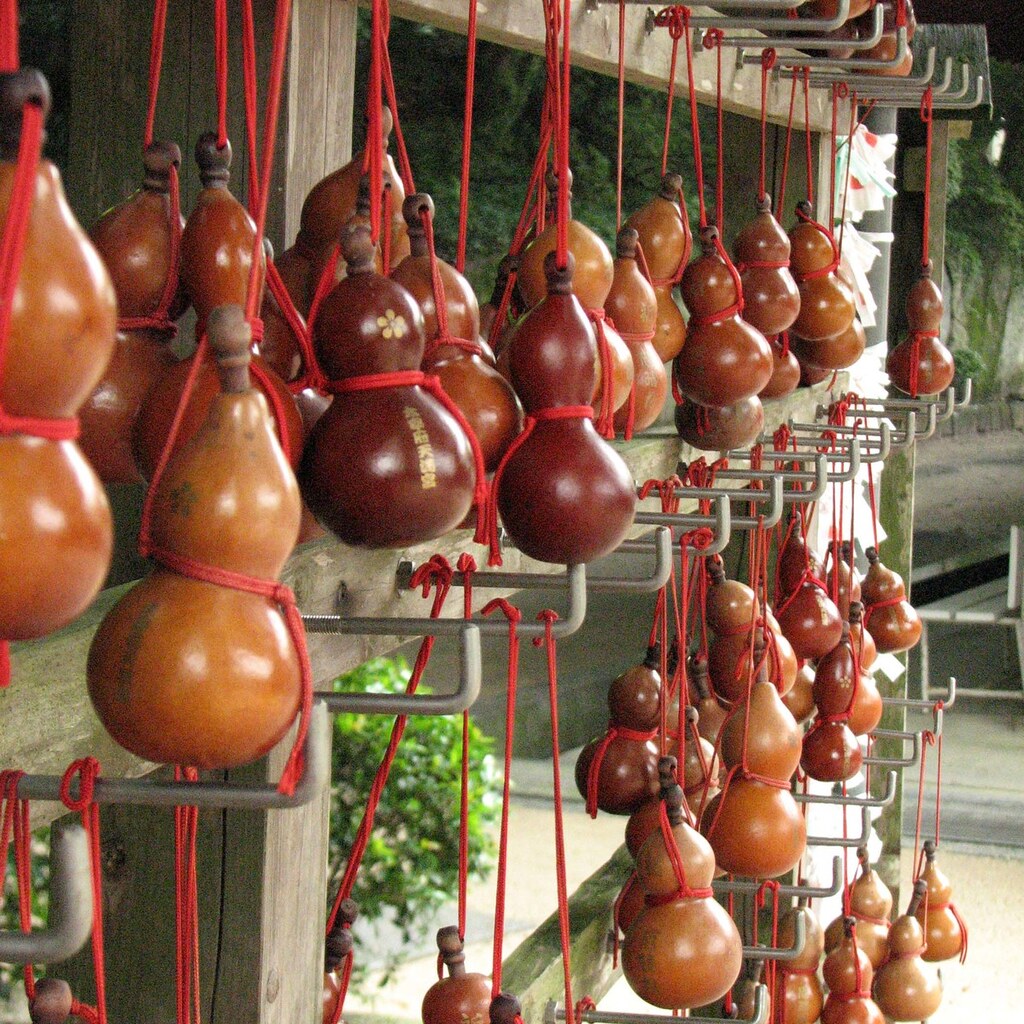 Photo of dried gourds