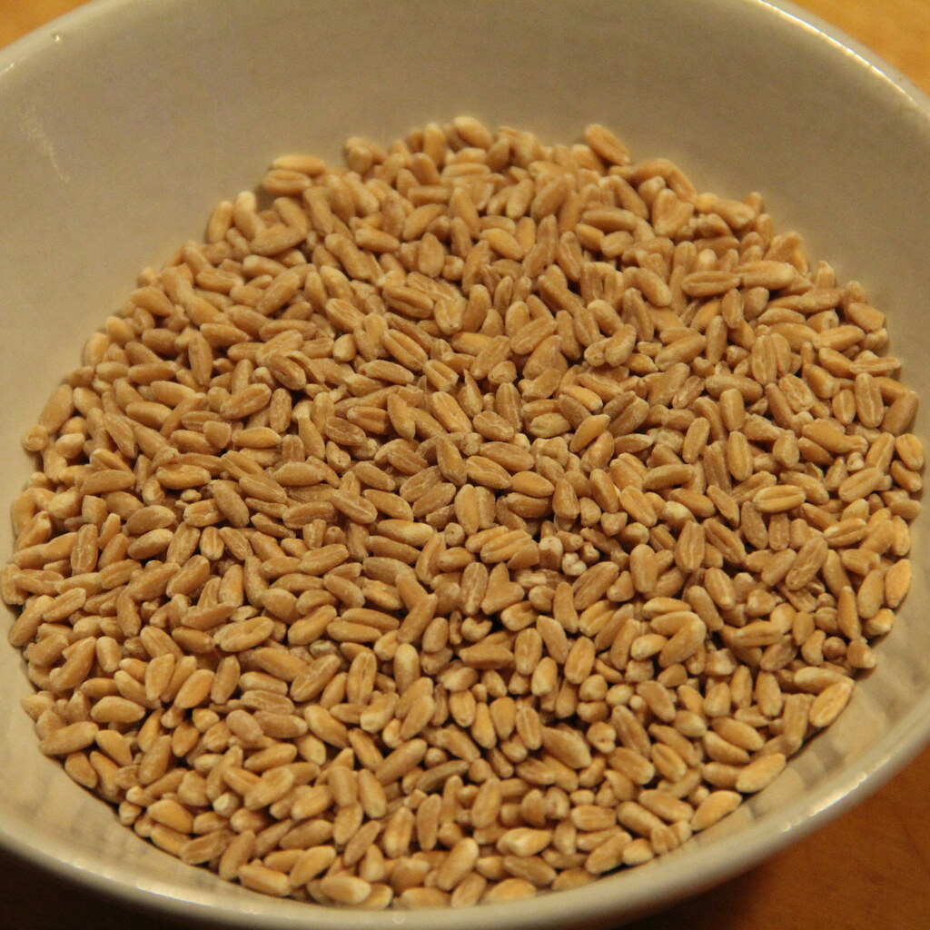 Photo of cereal grains.