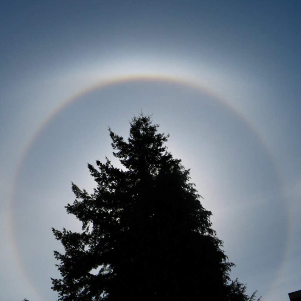 Photo of a halo