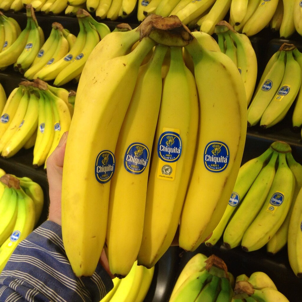 Photo of bananas