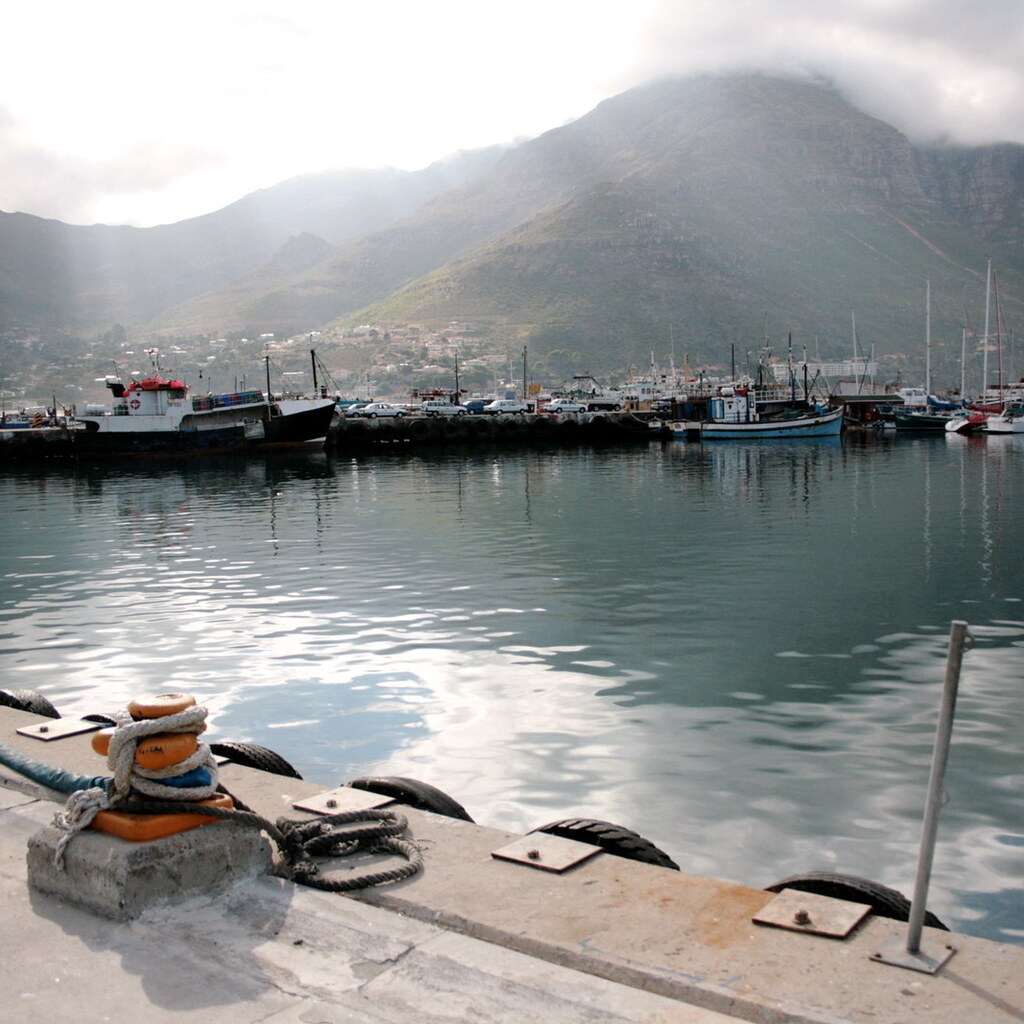 Photo of a harbor