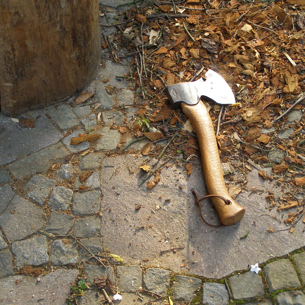 Photo of a hatchet