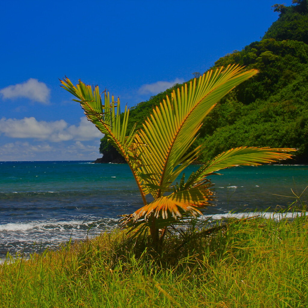 Photo of the Hawaiian coast