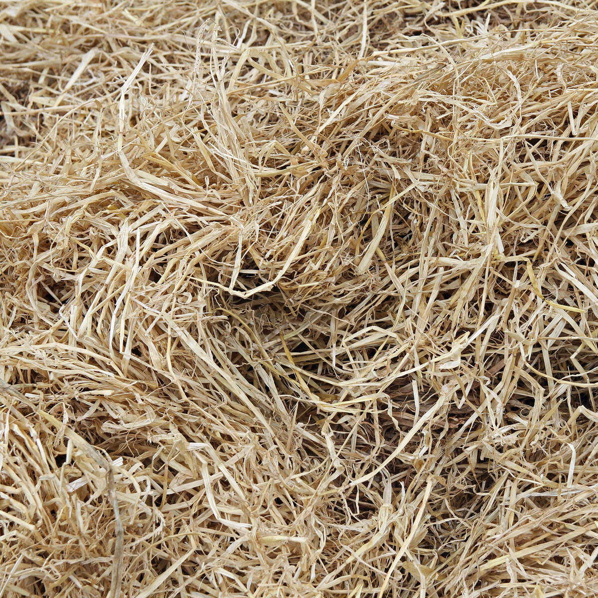 Photo of hay
