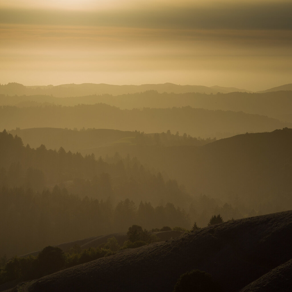 Photo of a haze