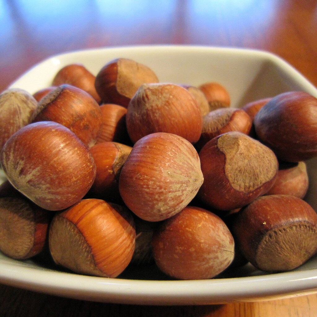 Photo of some hazelnuts