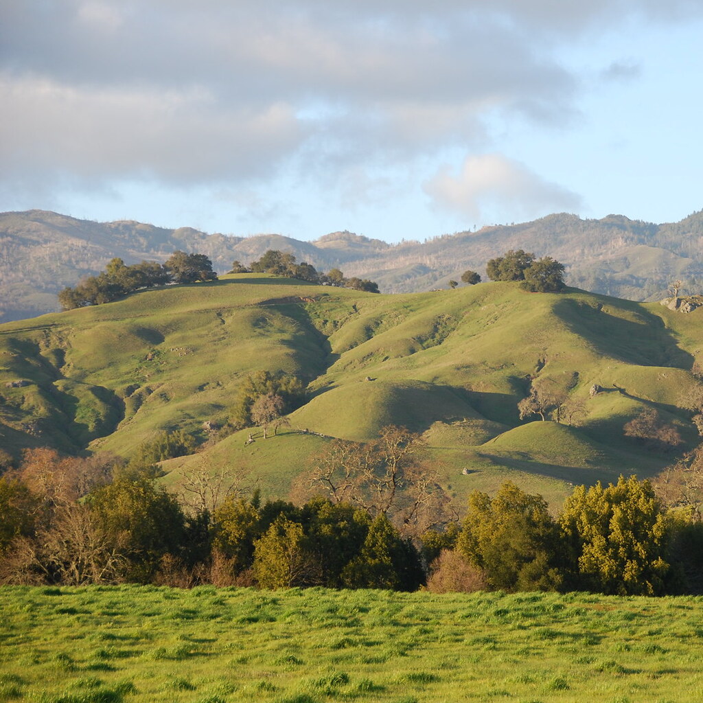 Photo of rolling hills.