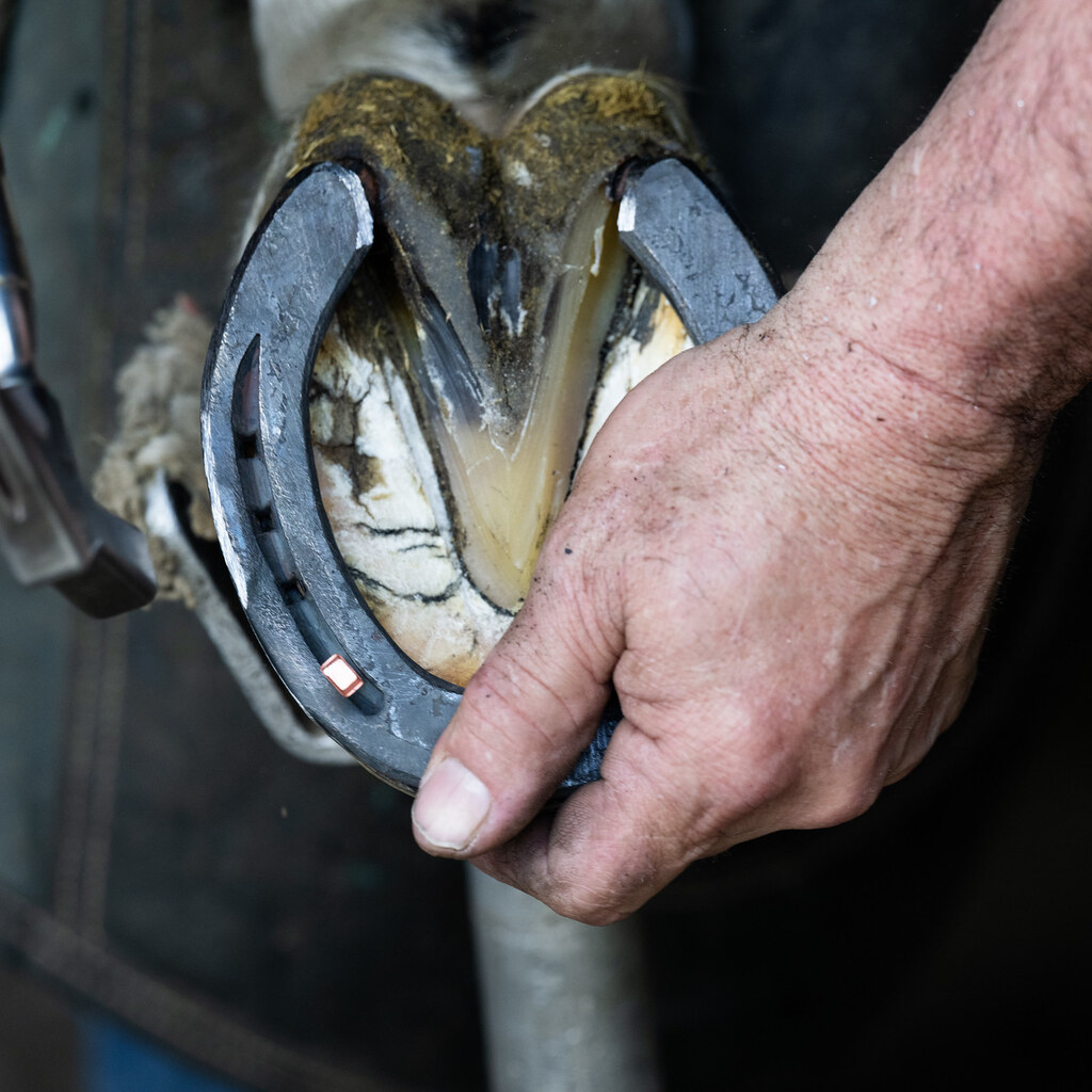 Photo of a horseshoe