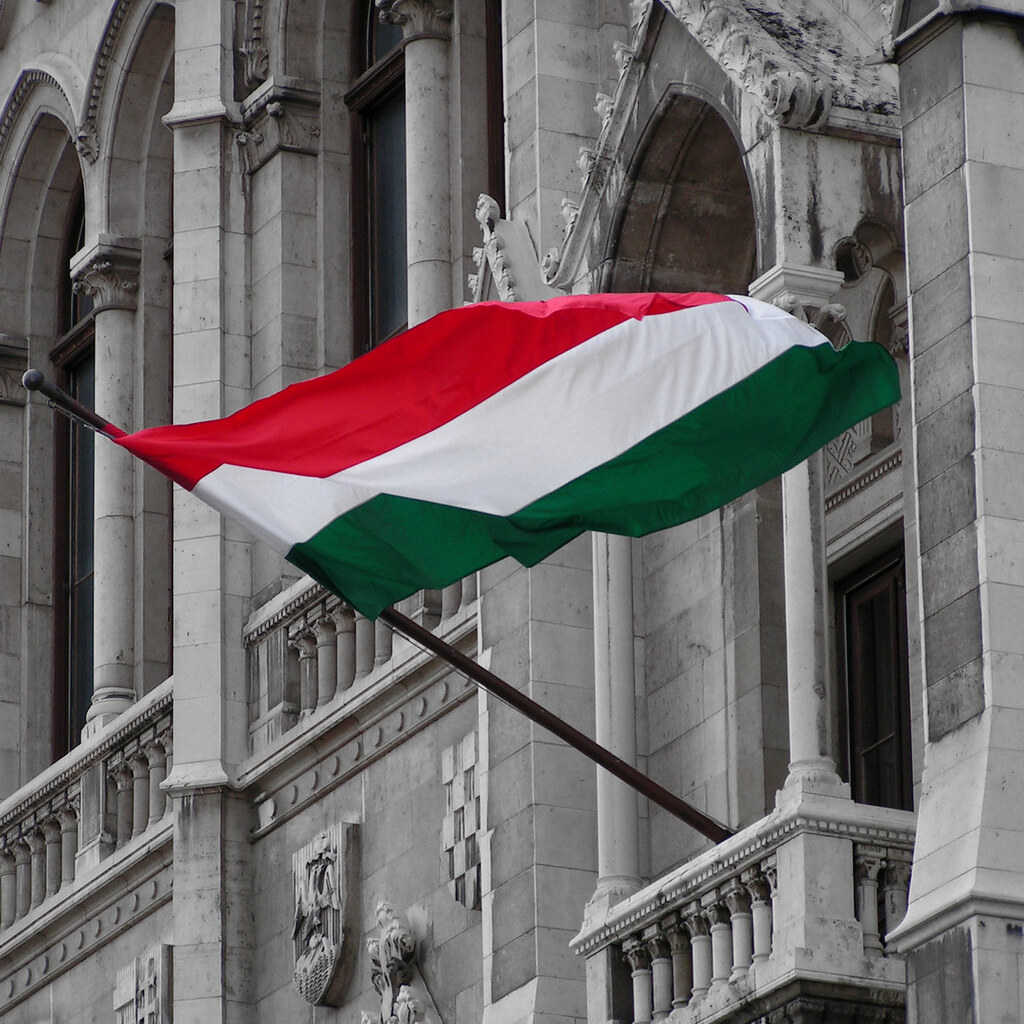 Photo of a Hungarian flag