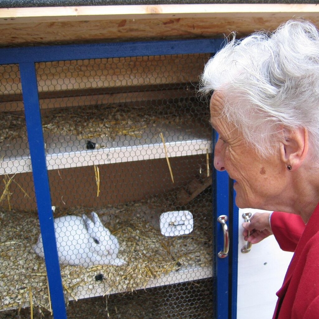 Photo of a rabbit hutch