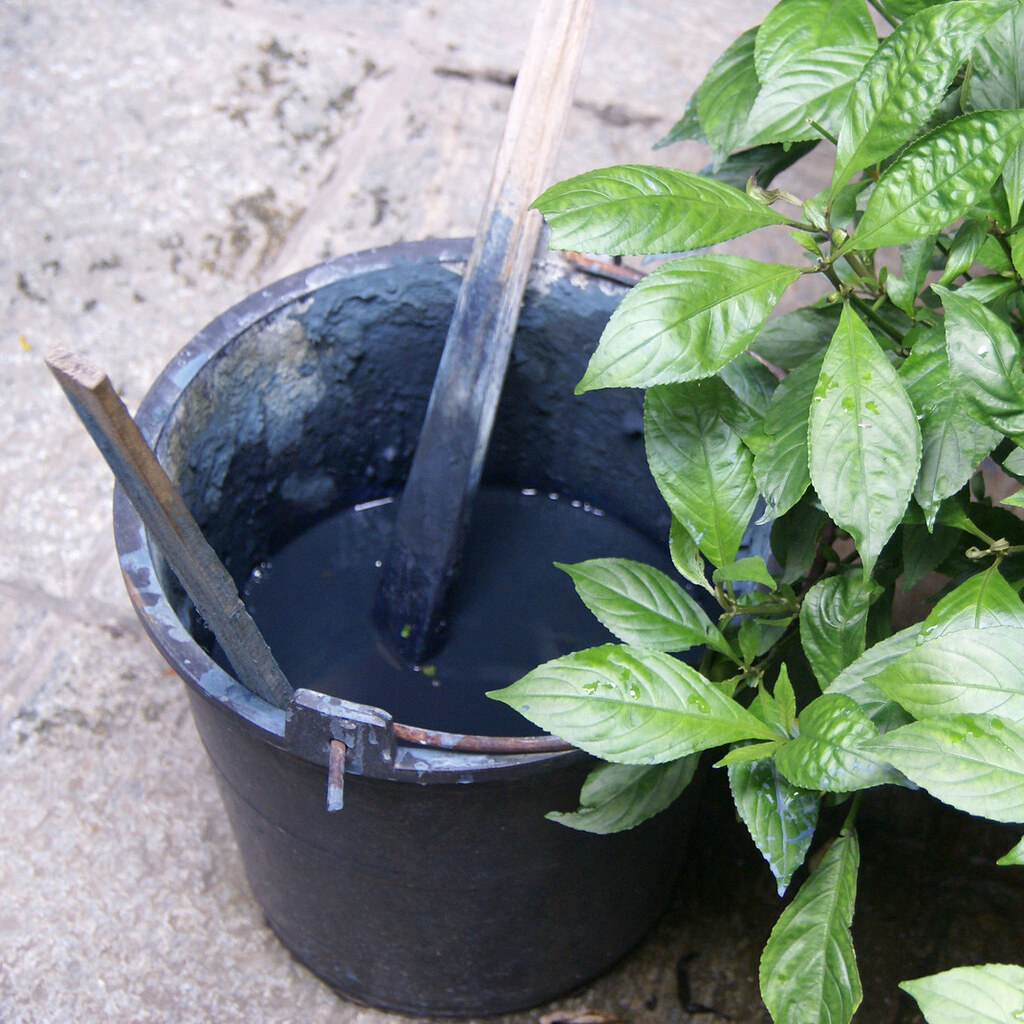 Photo of a bucket of indigo dye