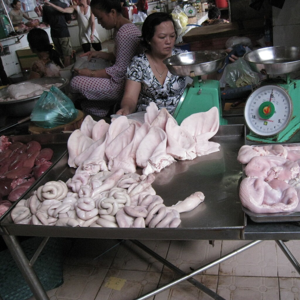 Photo of pig intestines