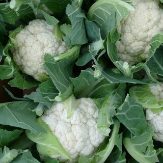 Cauliflower