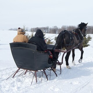Sleigh