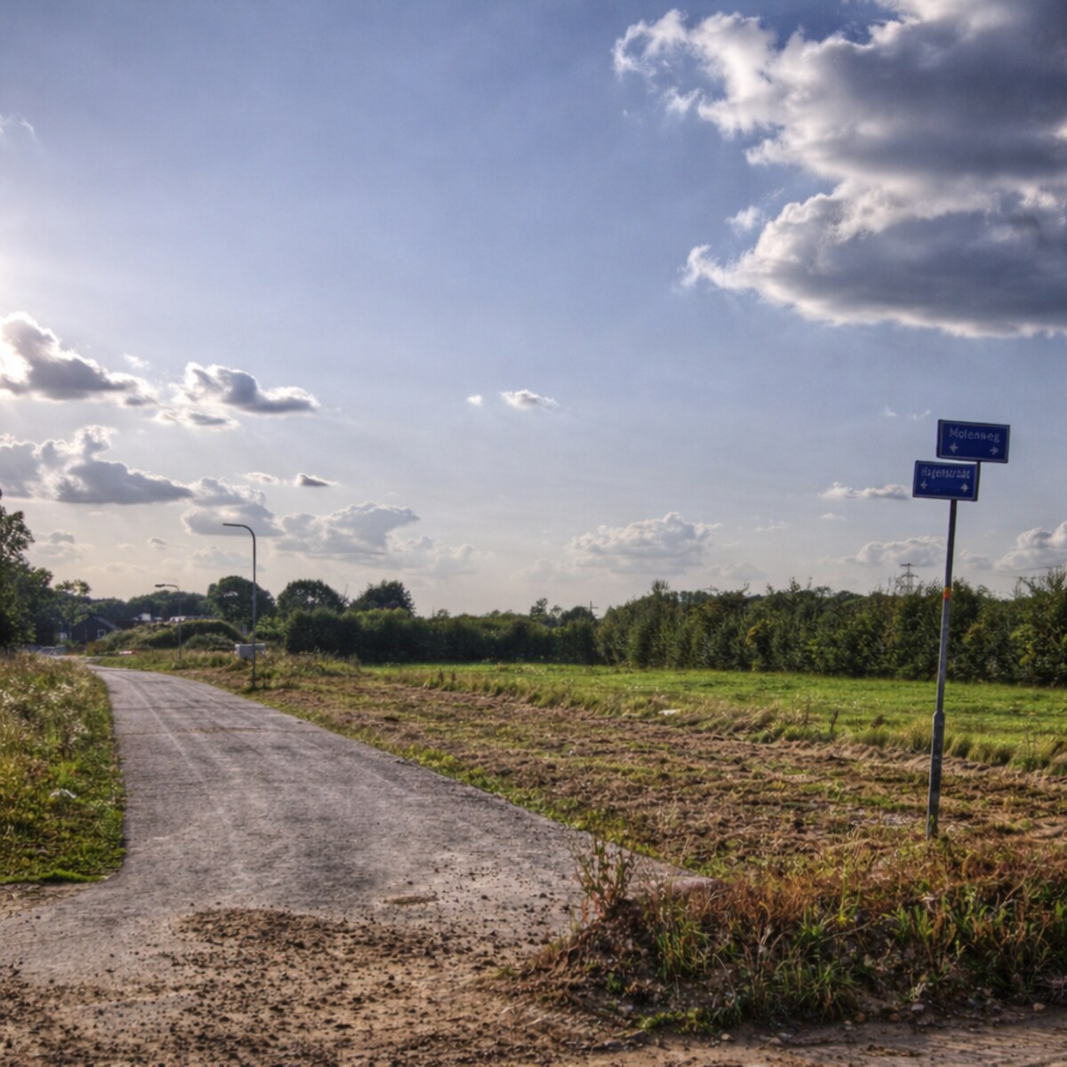 Photo of a dead end road