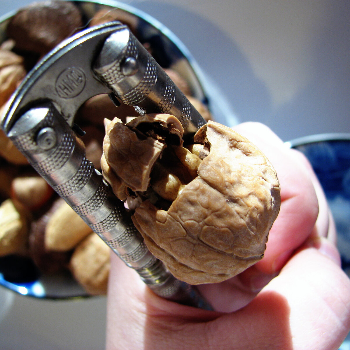A walnut half opened in a nut cracker