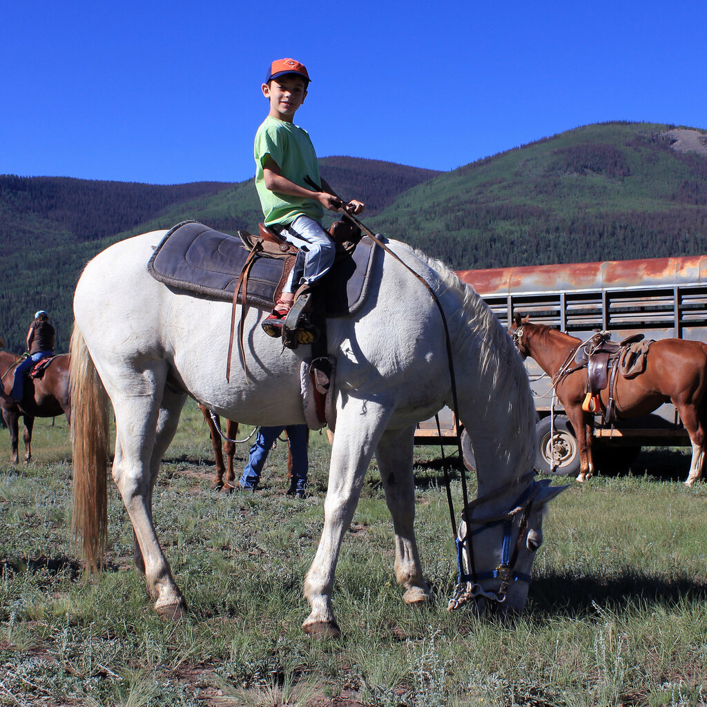 Photo of a boy on a horse