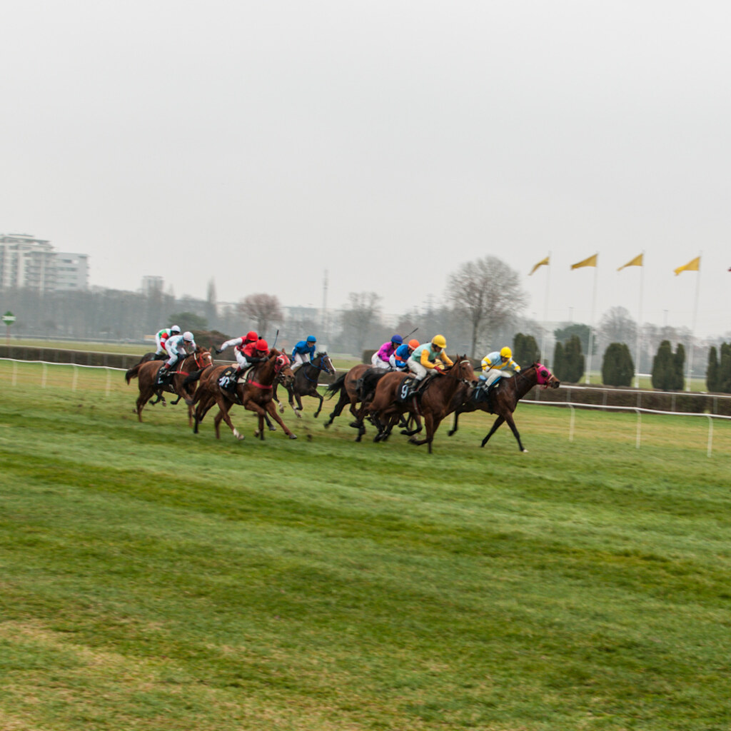 Photo of a horse race