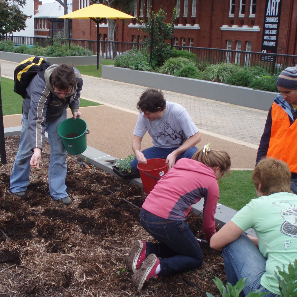 Photo of a group of people working on a garden