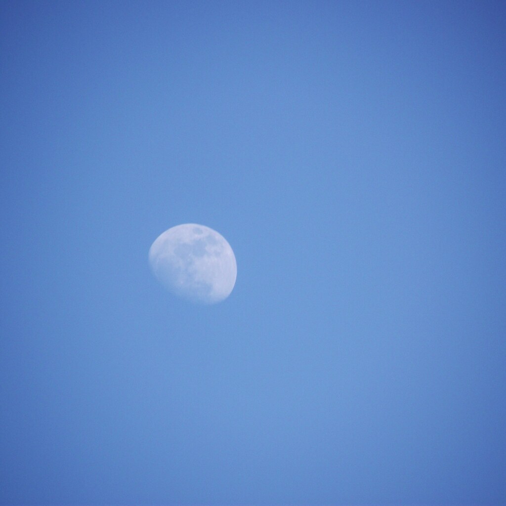 Photo of a blue moon