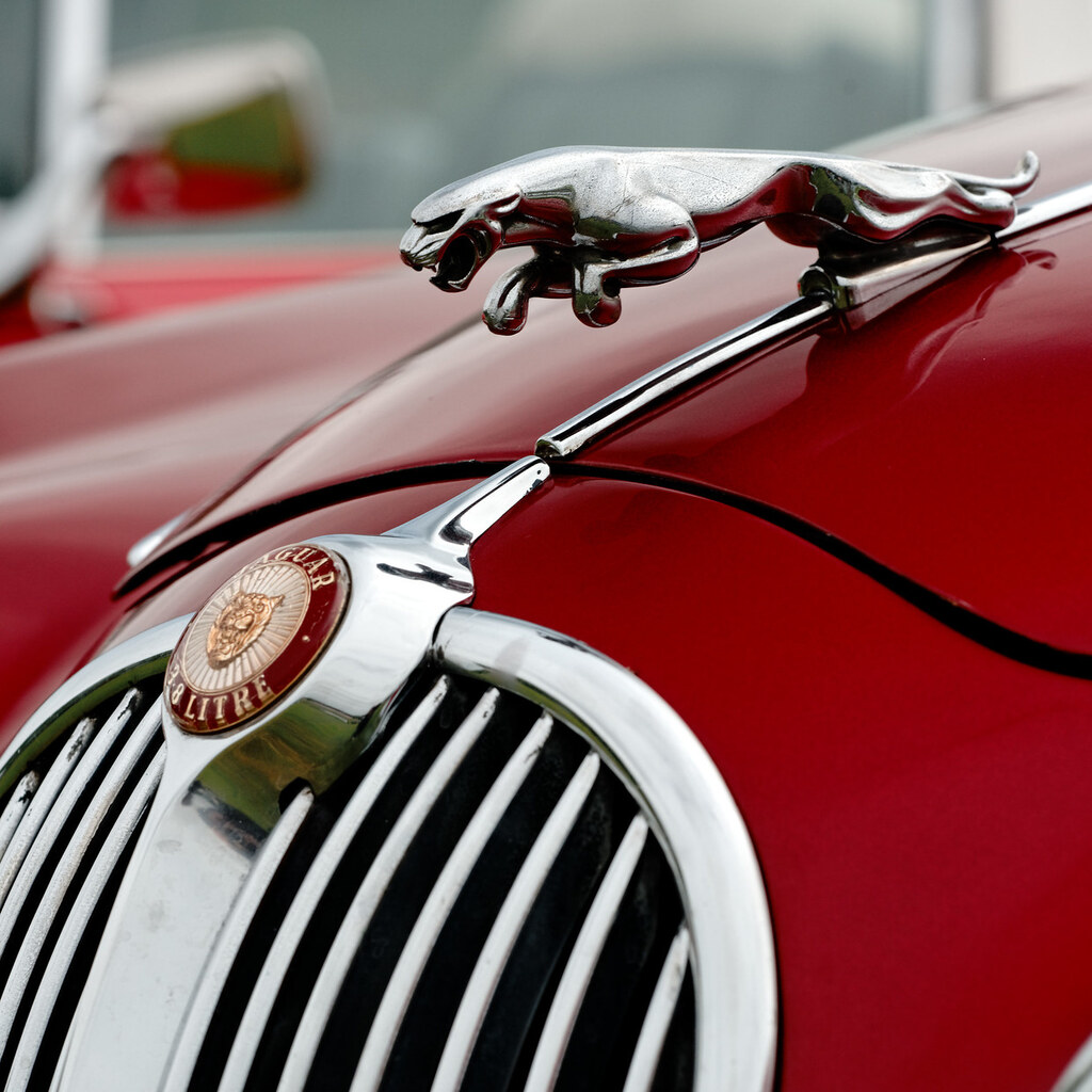 Photo of a Jaguar badge