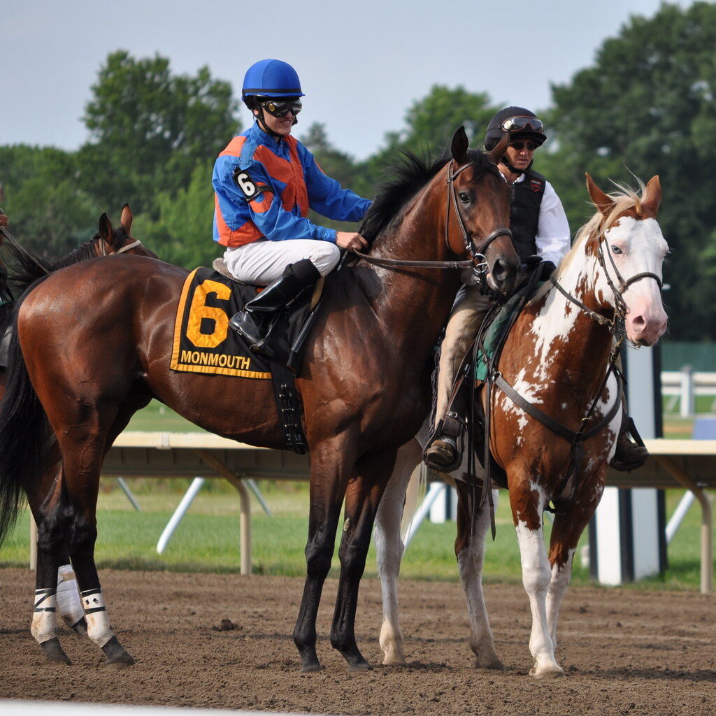Photo of a jockey