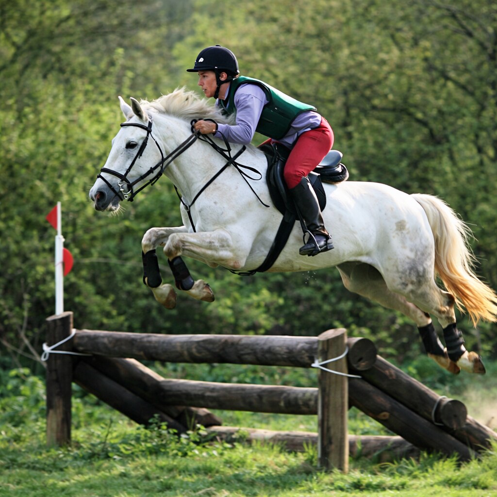 Photo of a horse jumping over a barrier