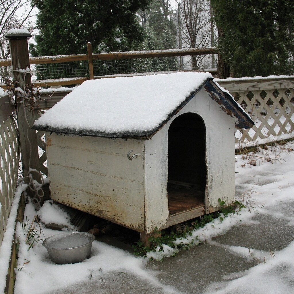 Photo of a dog kennel