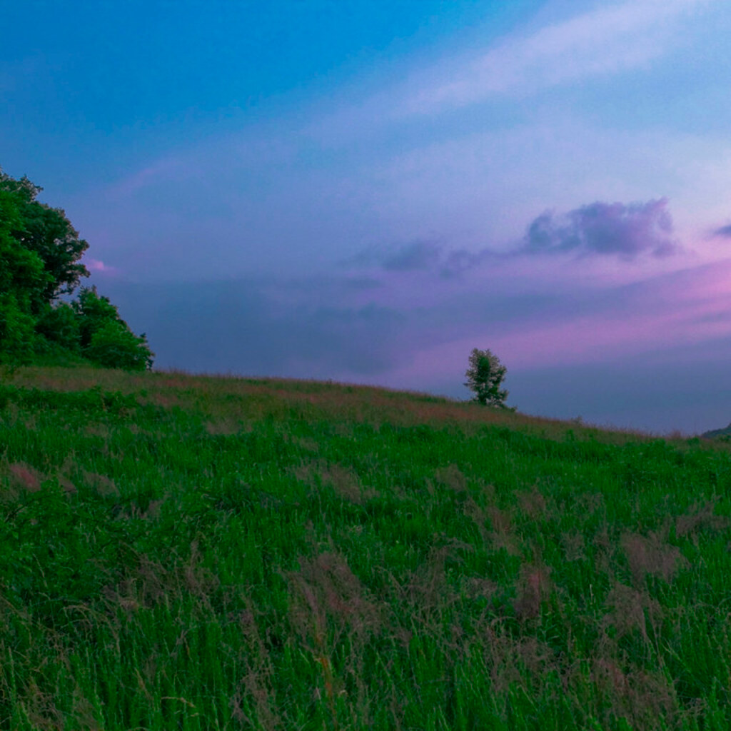 Photo of Kentucky