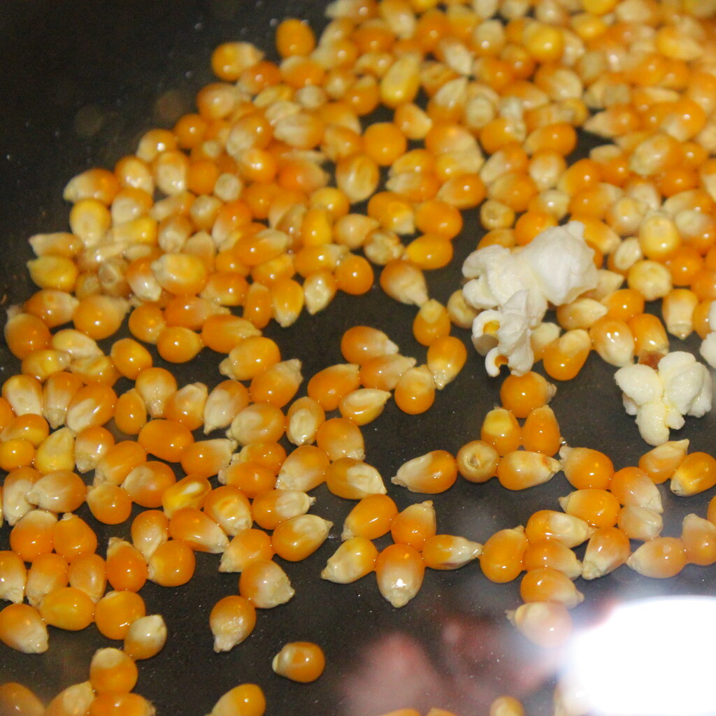 Photo of popcorn kernels