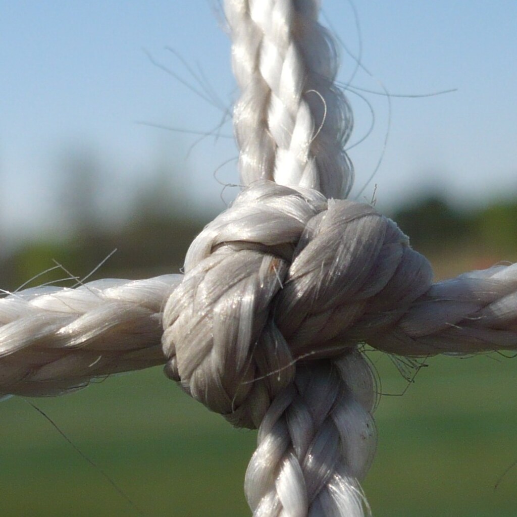 Photo of a knot