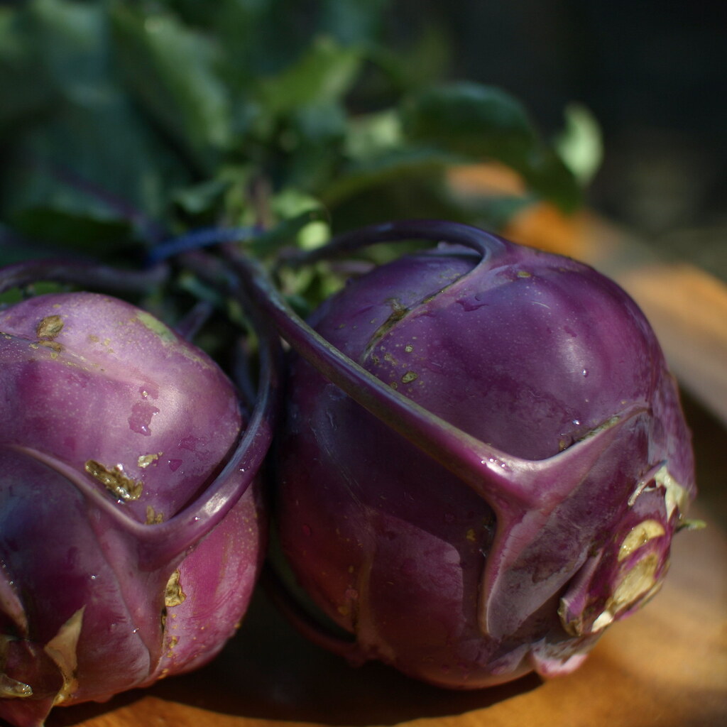 Kohlrabi.