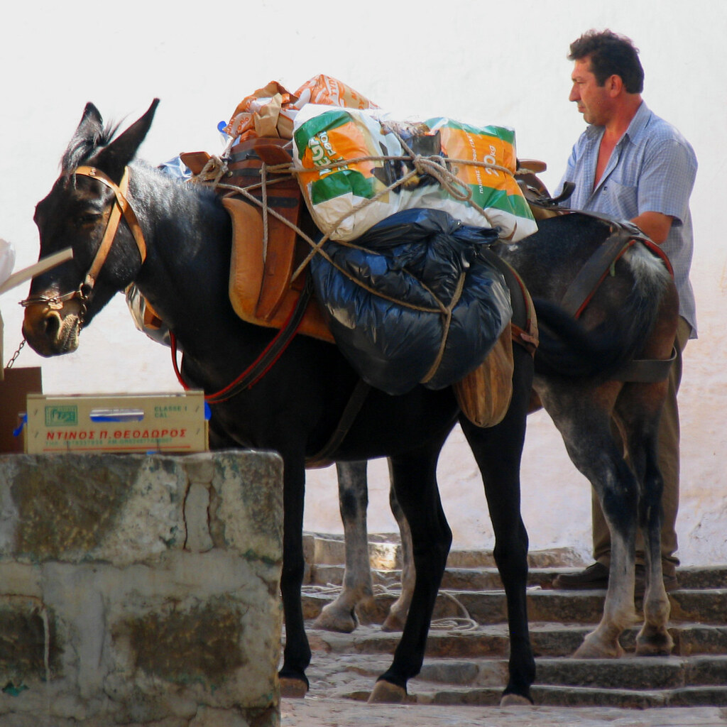Photo of a laden donkey