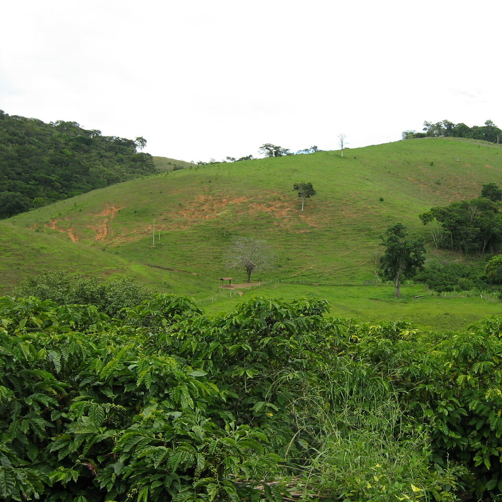 Photo of land
