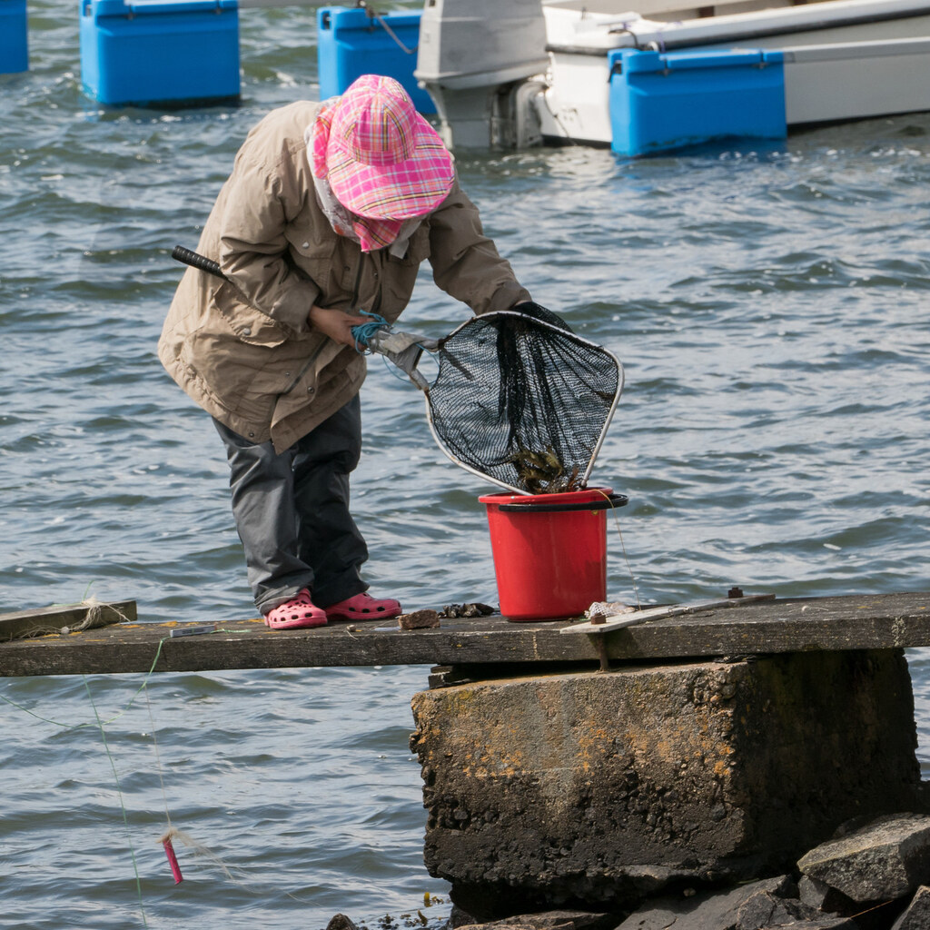 Photo of a woman using a landing net