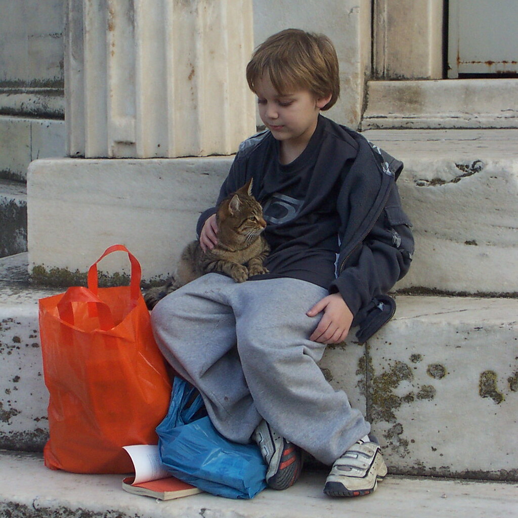 Photo of a boy with a cat on his lap
