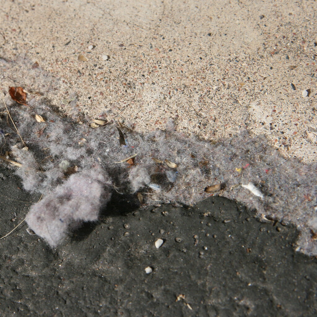 Photo of lint