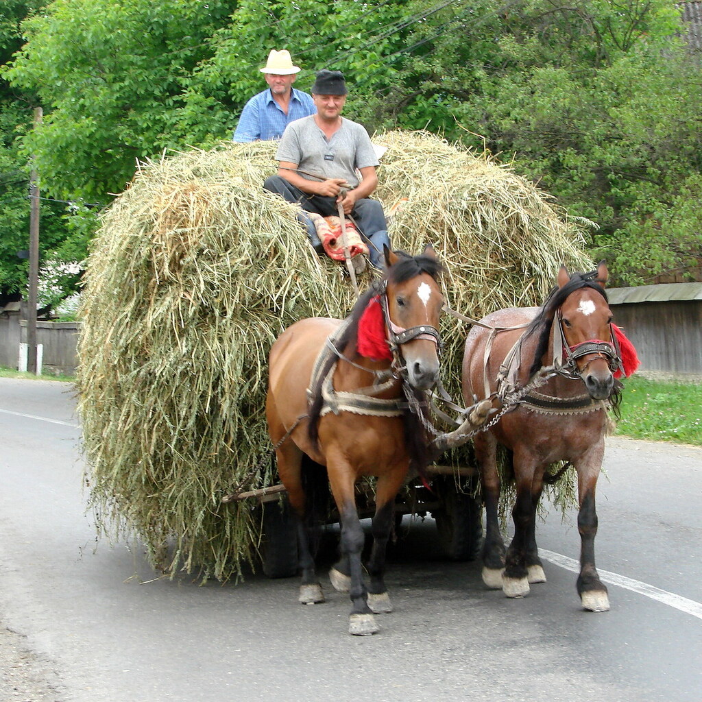 Photo of a load of hay