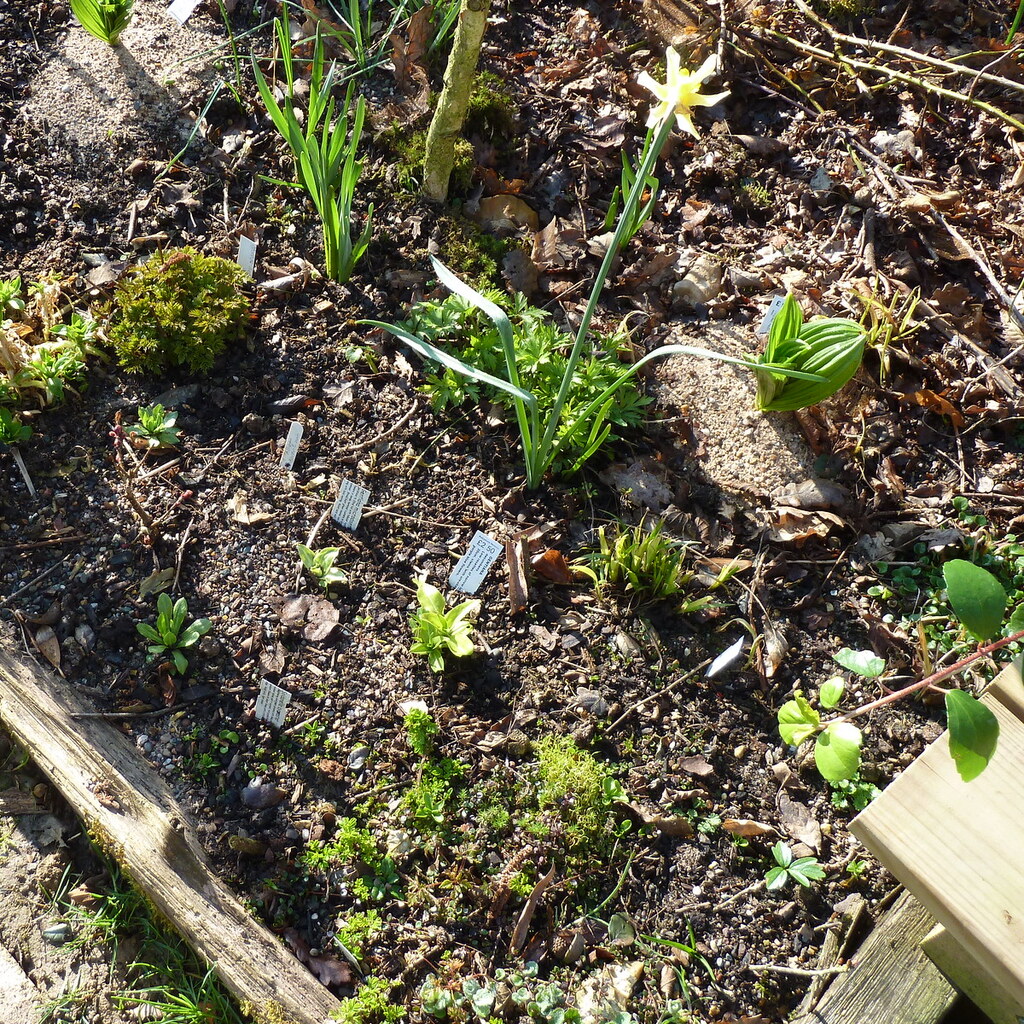 Photo of loam