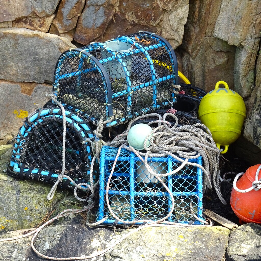 A photo of blue lobster pots with ropes and colorful buoys piled against a rocky wall