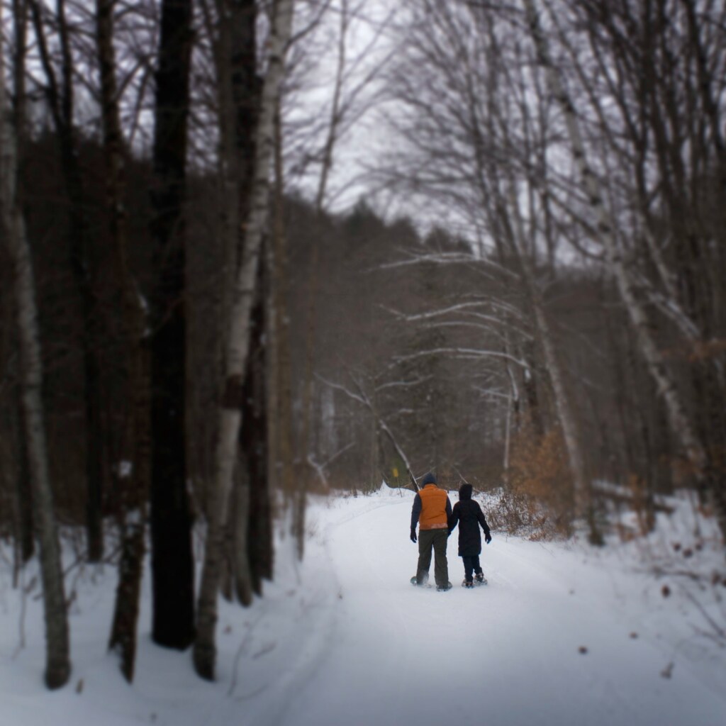 Photo of people lost in the woods