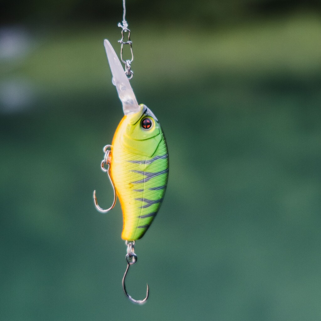 A photo of a lure