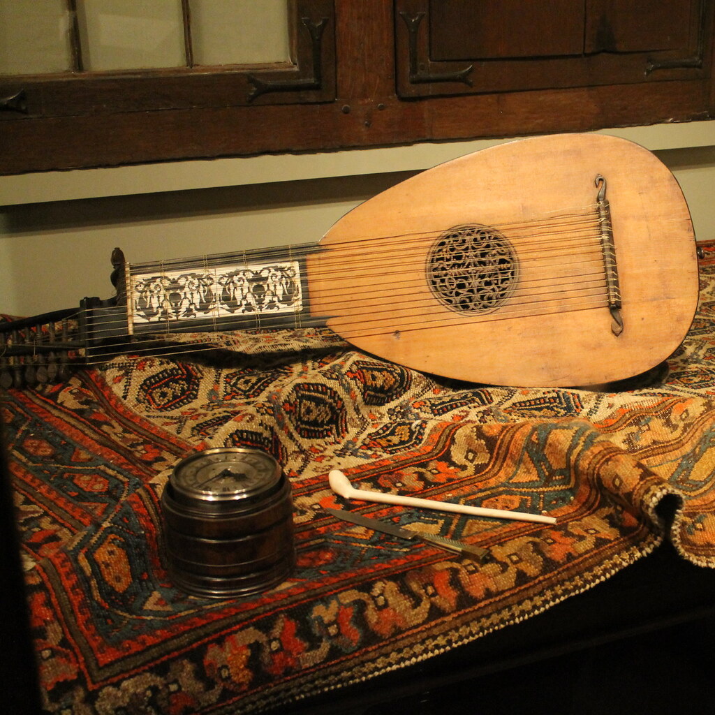 Photo of a lute