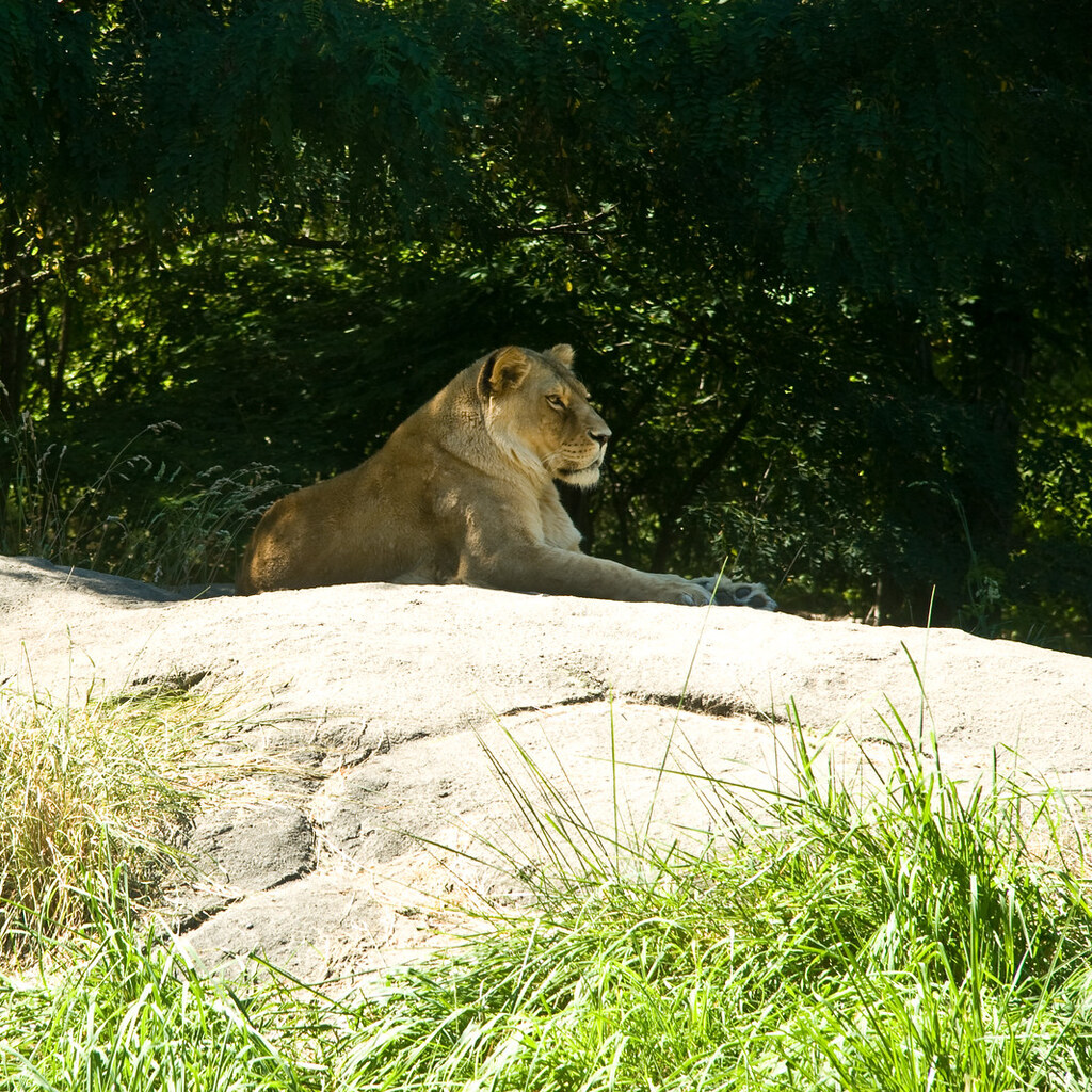 Photo of a mammal