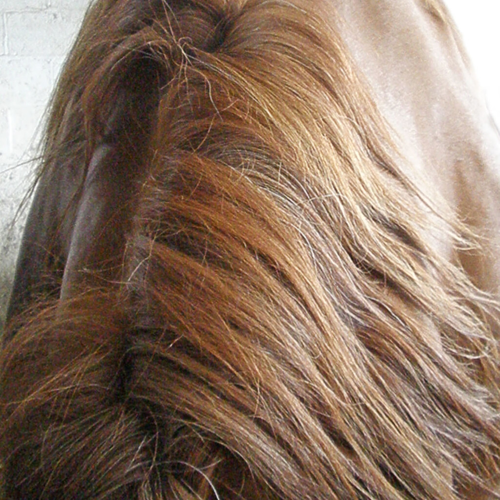 Photo of a horse's mane