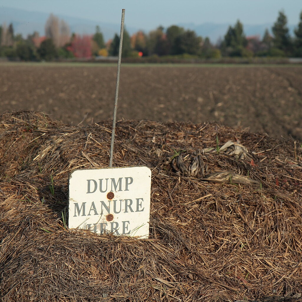 Photo of a pile of manure