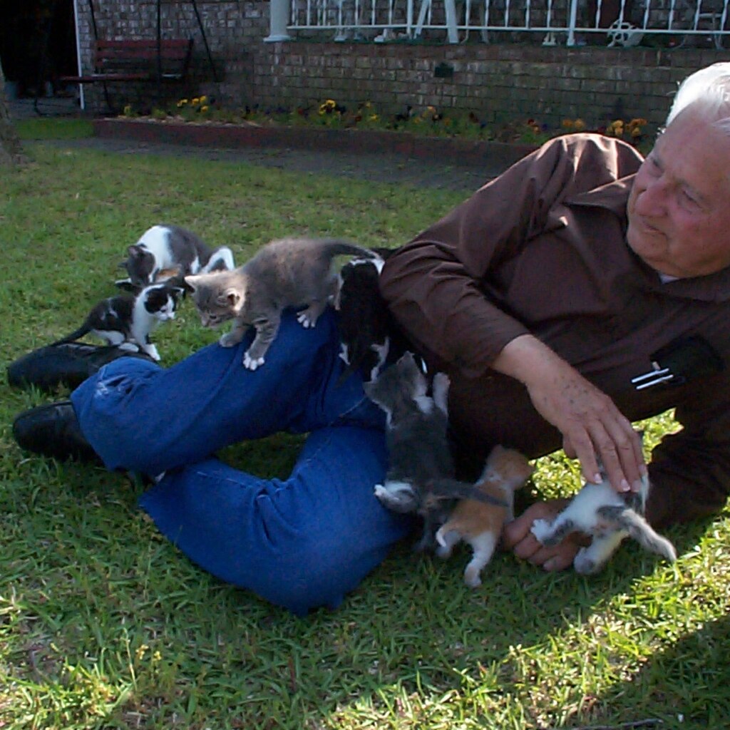 Photo of a man with many kittens